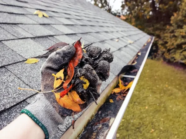 No-Limit-Gutter-Gutter-Cleaning-Service-1024x683 (3)