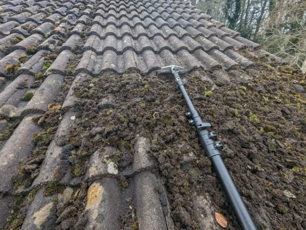 roof-cleaners-in-livingston